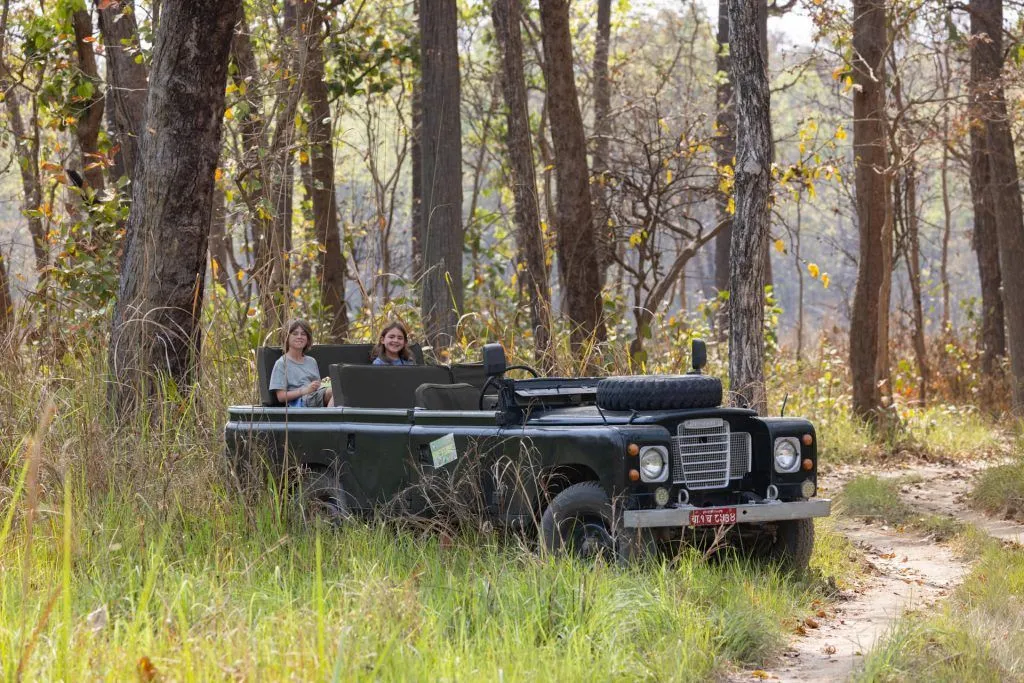 Dschungel Safari in Chitwan