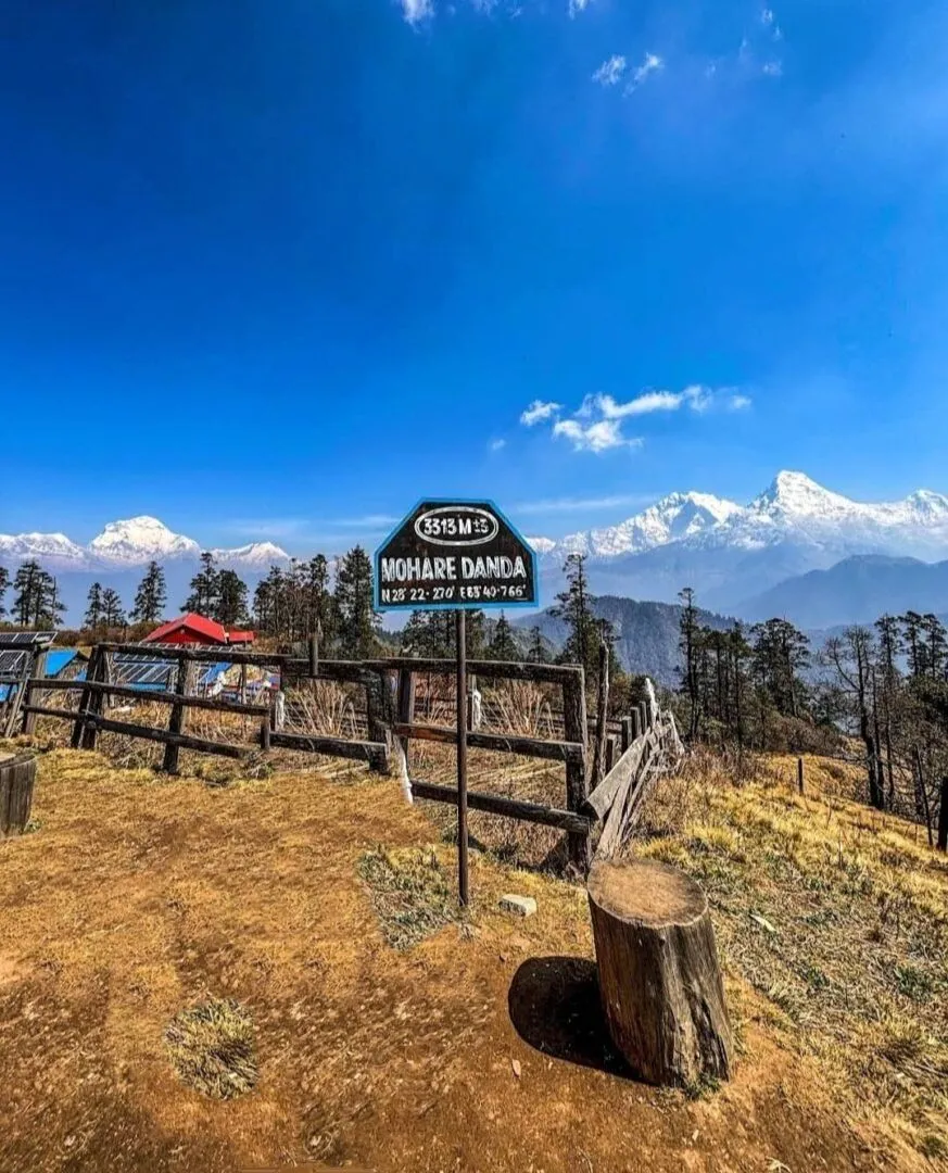 Mohare Danda Trek