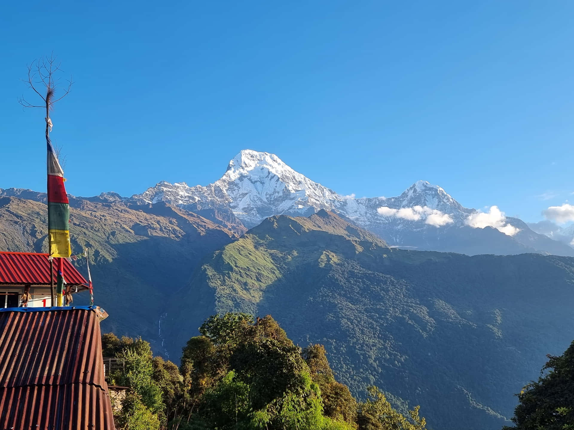 Nepal Reisen - Kathmandu und Pokhara
